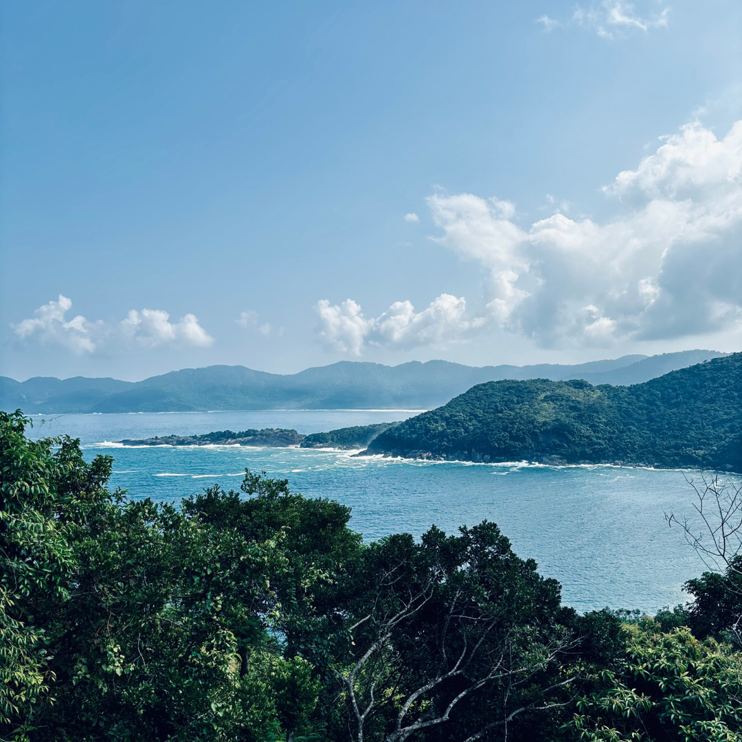 Cómo llegar a Ilha Grande: La Manera más Fácil y sin complicaciones. 