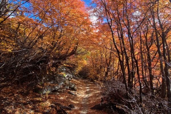 Refugio frey en otoño